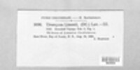 Uromyces limonii image